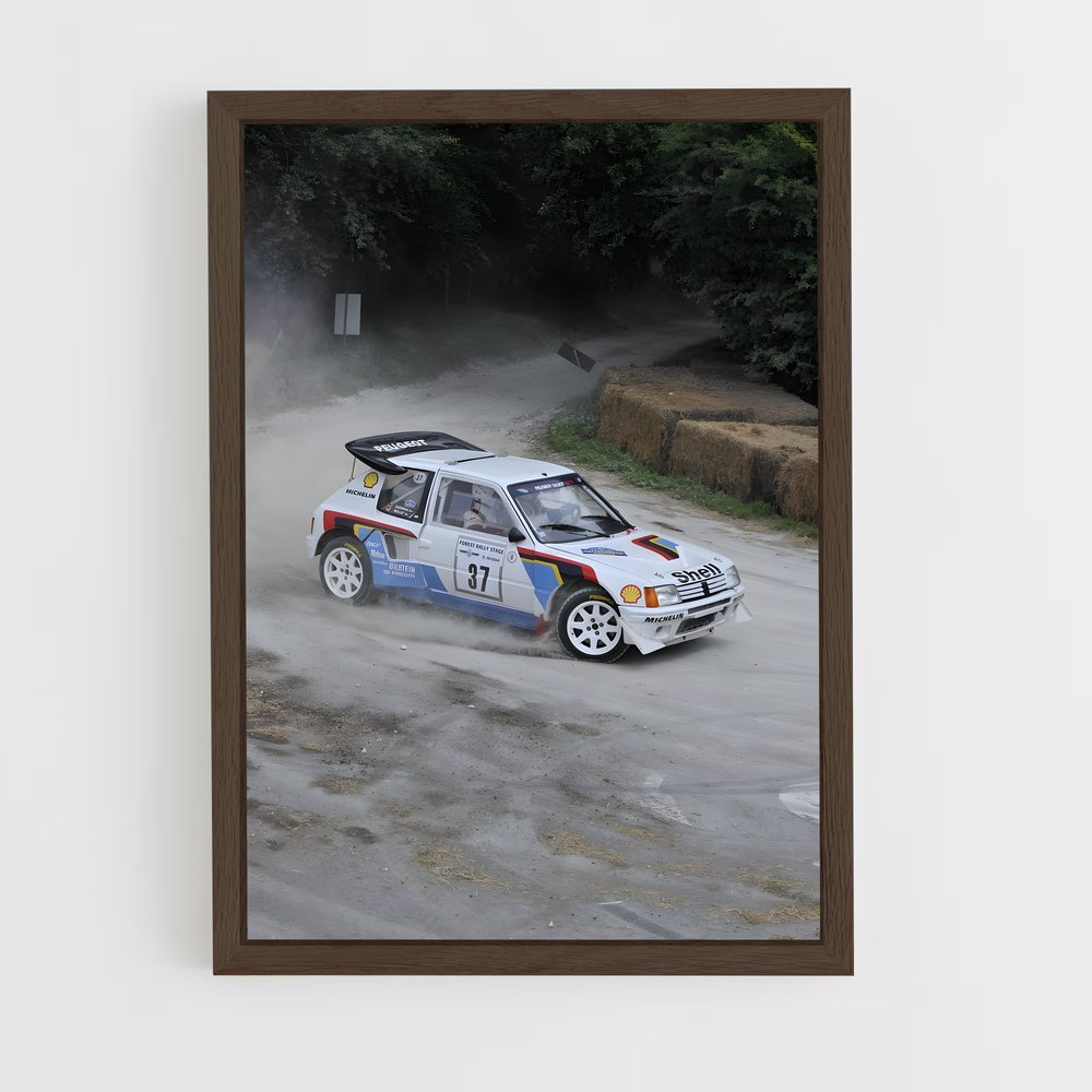 Poster impressionnant de rallye – affiche Peugeot (vue 5)